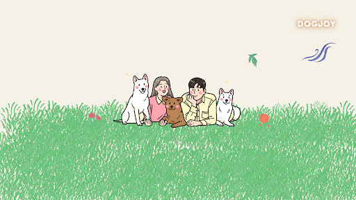 개조이DogJOY banner