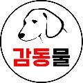 감동물 avatar