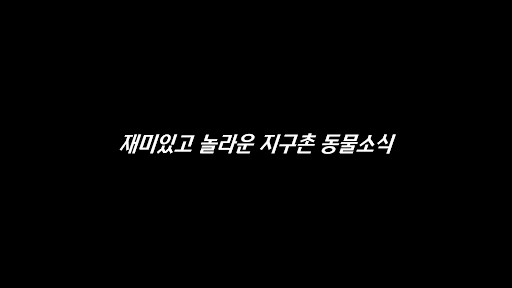 감동물 banner