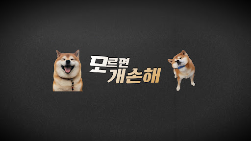 모르면개손해 banner
