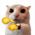 밈어캣 avatar