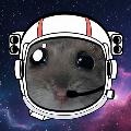 밈터스텔라 avatar