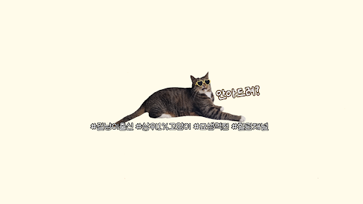 안아줘냥 호동 banner