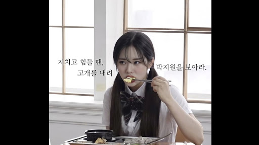 왜케막애기가찌 banner