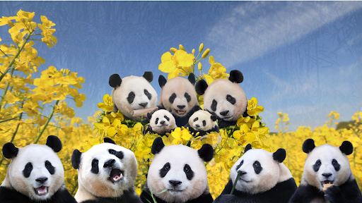 초심부터 banner