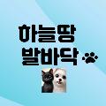 하늘땅 발바닥 avatar