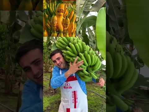Czn Burak Sad Banana History thumbnail