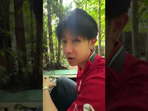 เต่ายักษ์ 1,000,000 ปี thumbnail