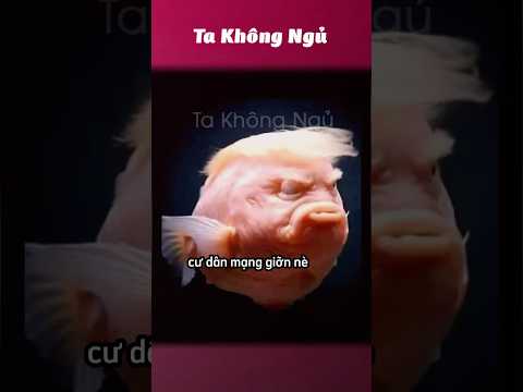 Thân chưa mà giỡn cỡ đó 😂 #takhongngu thumbnail