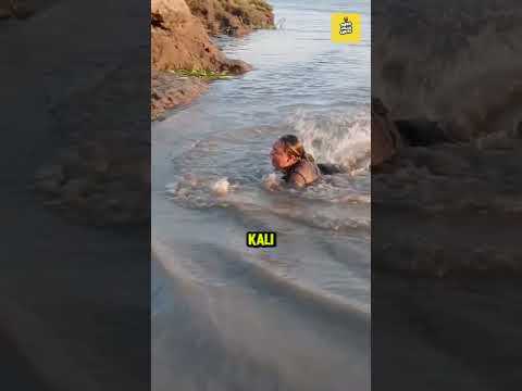 MANCING PAKAI RAMBUT! thumbnail