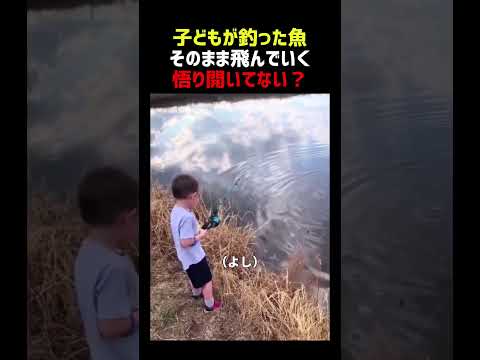 子供が釣った魚 そのまま飛んでいく thumbnail
