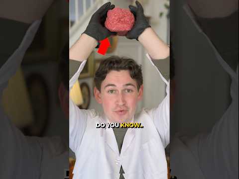 What Human Brains Actually Feel Like ? thumbnail