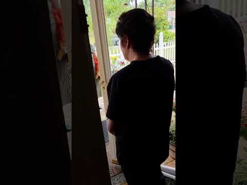 'I'm a witch.' Wife tells missionaries thumbnail