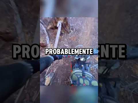 Bikers con muchísima suerte thumbnail