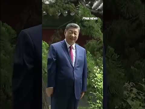 President Xi gave President Trump a private tour of the garden at Zhongnanhai #trump #shorts #xi thumbnail