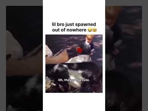 lil bro just spawned out of nowhere 🥹❤️‍🩹 thumbnail