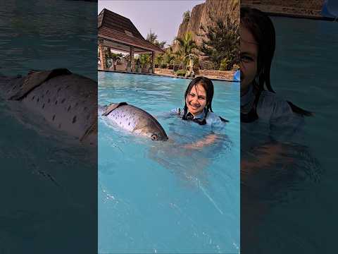 kk temenan sama ikan #trandingshorts thumbnail