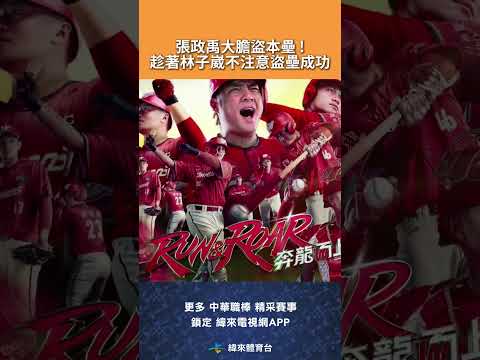 #CPBL 大膽盜本壘 ! 張政禹趁著林子崴不注意盜本壘成功 ! #樂天桃猿 #味全龍 #中華職棒 #shorts thumbnail