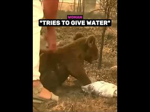 The Toughest Rescue ❤️ thumbnail