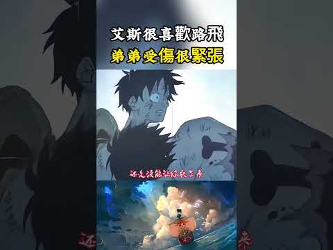 小時候的艾斯就打心底的喜歡路飛，見到路飛被黑熊打傷之後，立馬緊張起來背著路飛去救治#onepiece #luffy #動漫 thumbnail