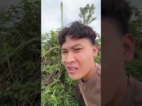 Thử thách ăn tết sinh tồn ngoài đồng thumbnail