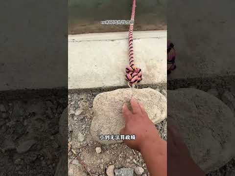 这件事好像小到不起眼，又大到性命攸关 #新疆#安全#万万没想到 #万万没想到 thumbnail