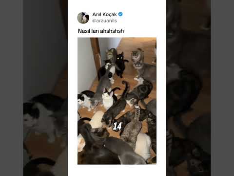 Bu tarz içeriklerin devamı için takip etmeyi unutmayın kardeşlerim thumbnail