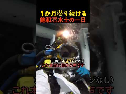 １か月潜り続ける飽和潜水士の一日 thumbnail