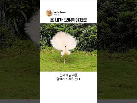 평소에 숨기고 살던 힘숨찐 공작의 본모습 thumbnail