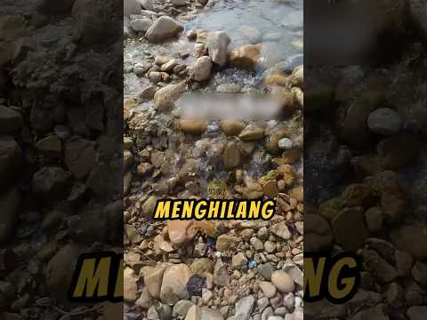 Aliran SUNGAI Ini MENGHILANG‼️?#videoviral #sungai #faktaunik thumbnail