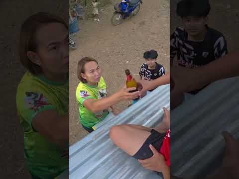 กะว่ายุบอกให้มาตีสังกะสีใหม่กะคือนานแล้วแทะละเฒ่า #funny #comedy #ขึ้นหน้าฟีด thumbnail