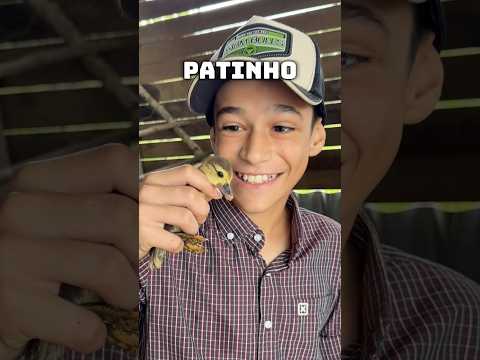 Será que o patinho vai conseguir nadar?!😱 #shorts thumbnail