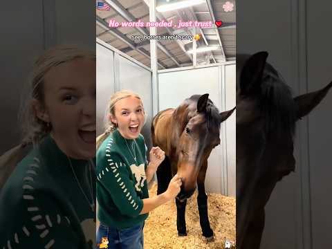 No words needed,just trust ❤️#horse #horselove #love #animals #fyp thumbnail