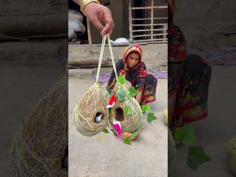 Amazing Bird Nest Made from Coconut Shell & Rope 🐦🌿 thumbnail