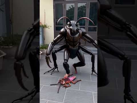 OMG //  She turned into a giant cockroach #funny #automobile thumbnail