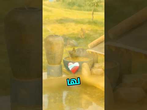 هذي الحرمة انقذت موية البسس 🥹❤️ #shortvideo thumbnail