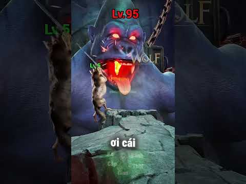 Sói Gian Ác Dám Lén Nổ Bé Răng Vàng Của Khỉ Và Cái Kết Nhận Đủ Trận Đòn 😂 thumbnail