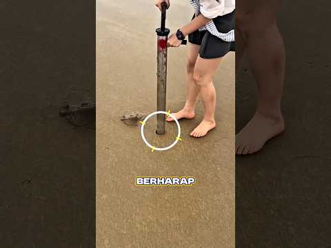 Hari Terakhir di Pantai?! Gara-Gara Temuan Aneh Ini… ?? thumbnail