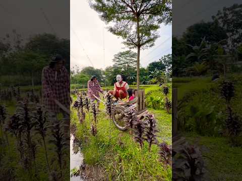 Bego dan Alanna Naik Grobak thumbnail