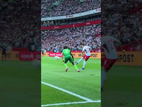 CUDOWNA WRZUTKA NICOLI I MINIMALNA POMYŁKA KAMYKA #SHORTS thumbnail