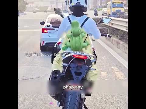 Cảnh tượng xấu hổ của một cô gái thấp bé khi đi xe mô tô phân khối lớn. thumbnail