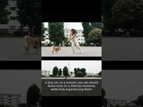 Seamlessly track your subjects with Auto Framing on #Xperia1VII #Shorts 🐕 thumbnail