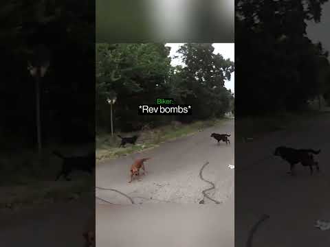When A Biker Spots A Lady In Trouble… thumbnail
