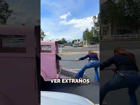 Trajo el caballo más hermoso del mundo 🐴❤️ thumbnail