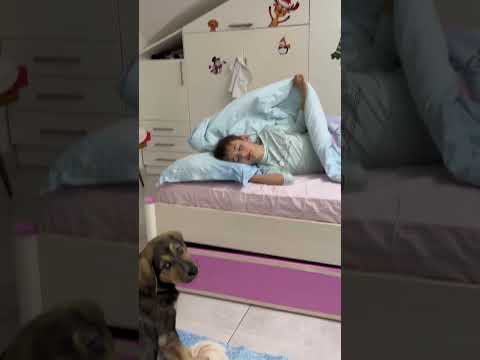 Gariban Kardeşim Köpeğimiz Daisy yüzünden uyandırılıyor 😔💞 thumbnail