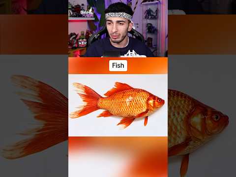 HAYVANLAR DÜNYAYI NASIL GÖRÜR ? #shorts thumbnail