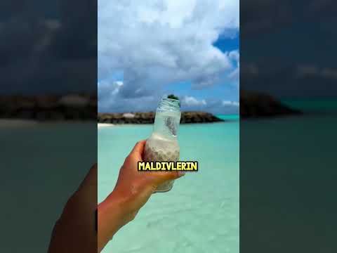 Tatili FIRSATA Çevirdi! 🏖️☀️ thumbnail