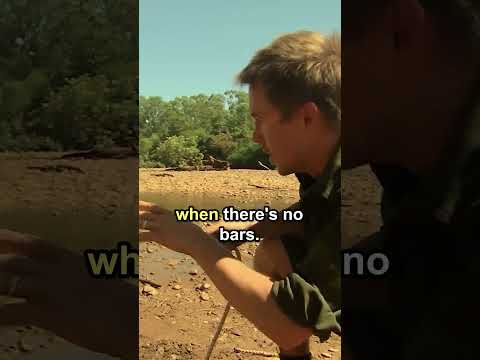 Relocating Most Dangerous Crocodile #shorts #crocodile #wildlife thumbnail