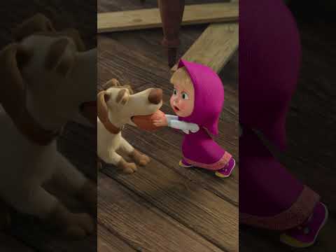 Who's that cutie pie? 🐶💖 #MagicOfTeleportation #MashaAndTheBear #Shorts #cartoonforkids #animation thumbnail