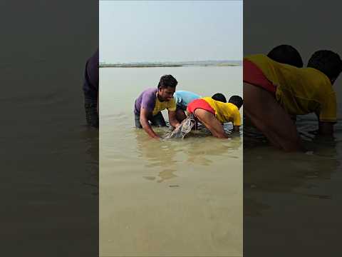 #웃긴영상 #코믹영상 #재밌는영상 #FunnyMoments #CaughtOnCamera #ViralVideo #TrendingNow #Shorts  #SouthKorea thumbnail